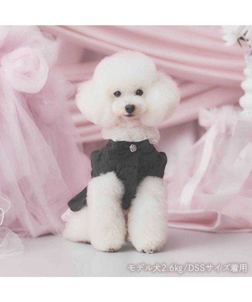 PET PARADISE cherircouture ジャケットワンピース 小型犬 