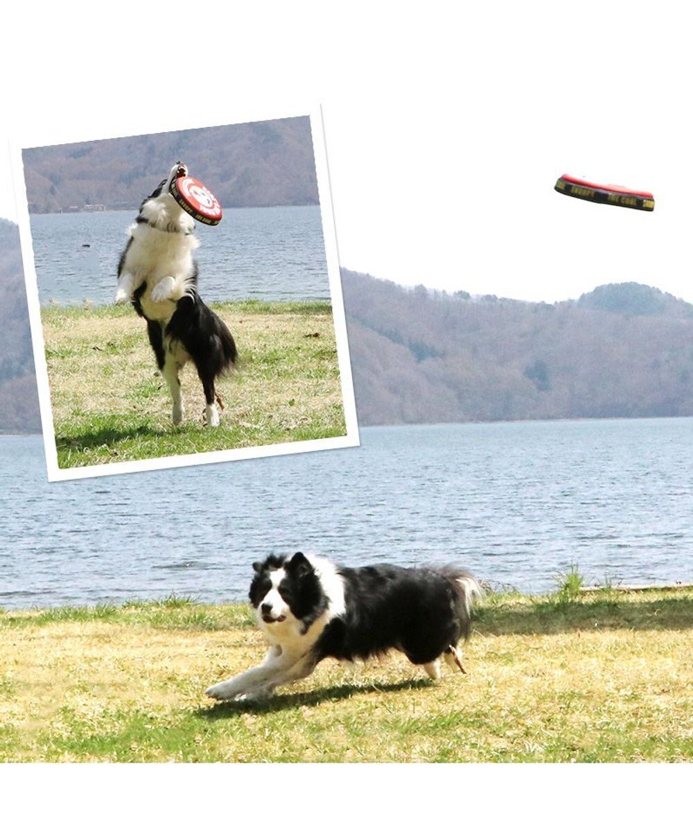 PET PARADISE 犬 おもちゃ スヌーピー フライングディスク M (直径22cm） 