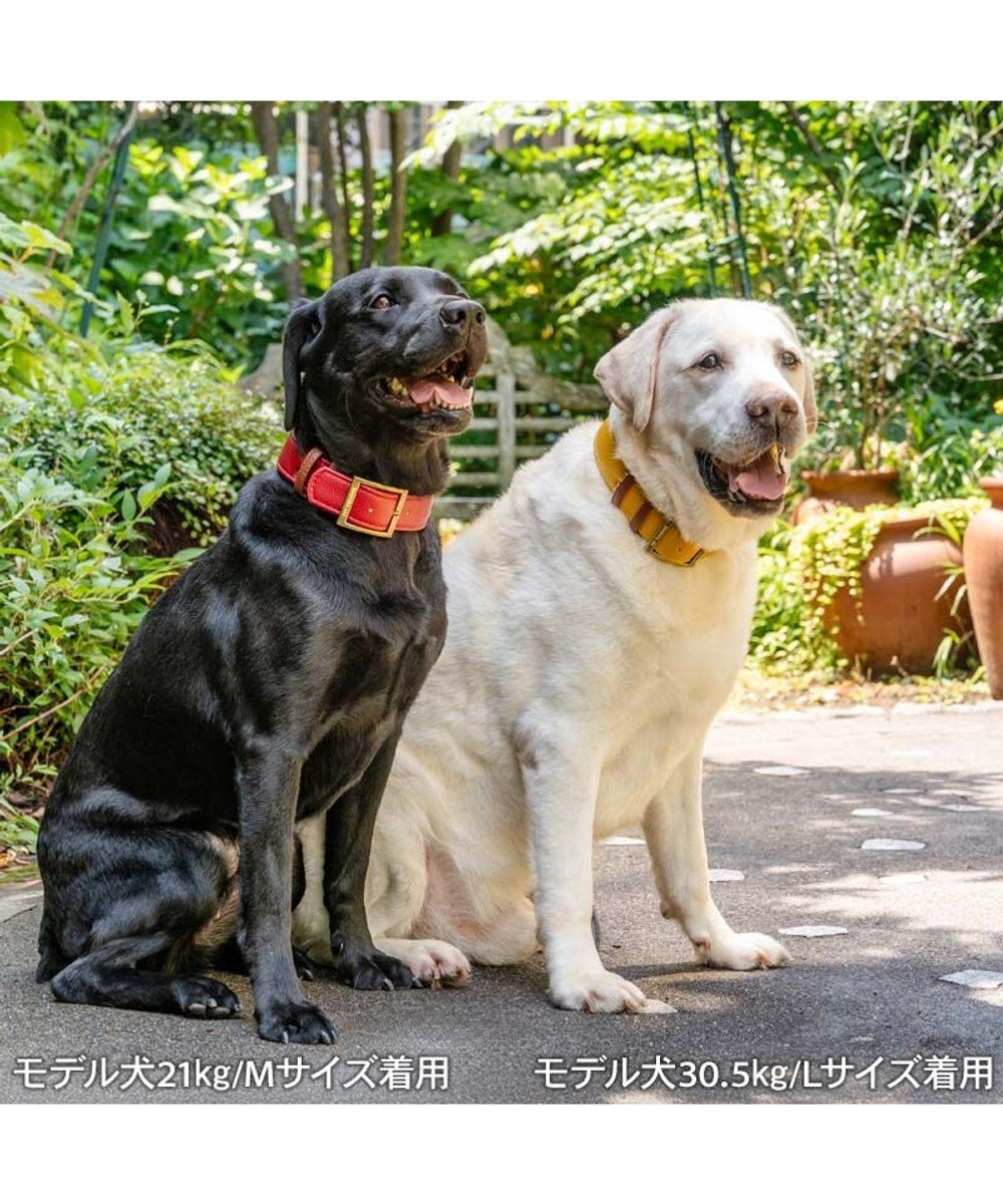PET PARADISE ペットパラダイス ソフトレザー首輪 《ブルックレッド》 Ｌ 