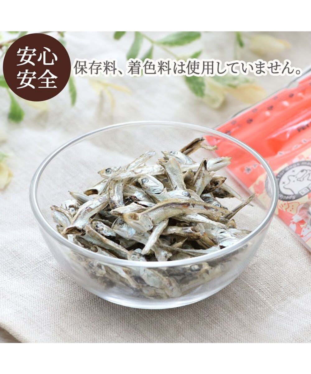 PET PARADISE 塩無添加 片口いわし 40g 国産 