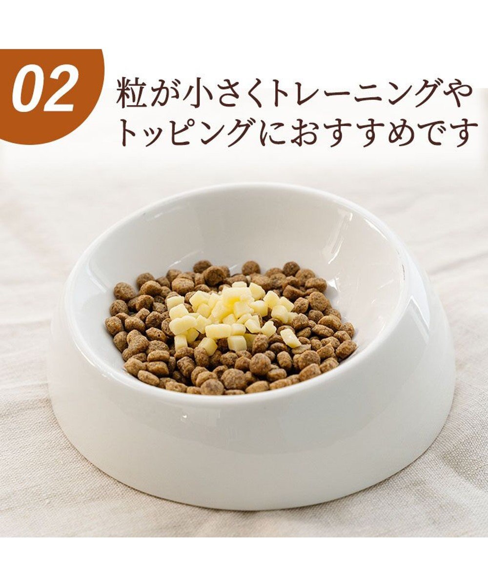 PET PARADISE ミニトリーツ チーズ 国産 