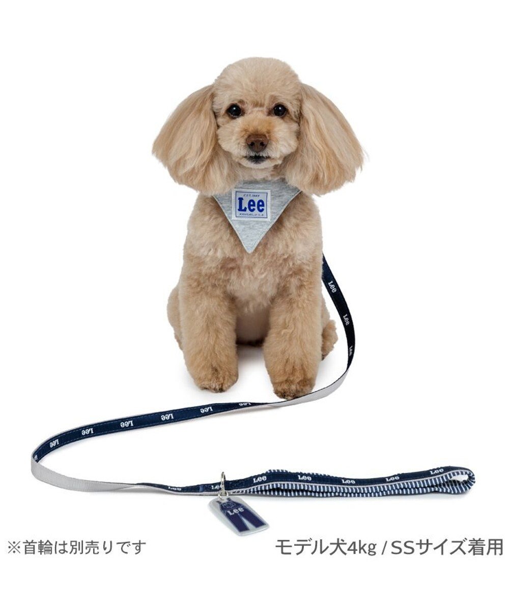 PET PARADISE Lee リフレクターリード ４Ｓ～３Ｓ 