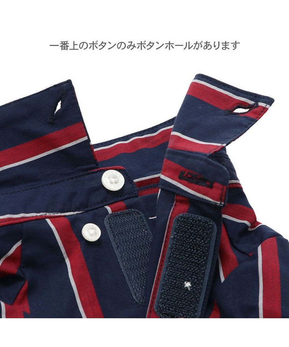 PET PARADISE J.PRESS レジメンタル シャツ 小型犬 