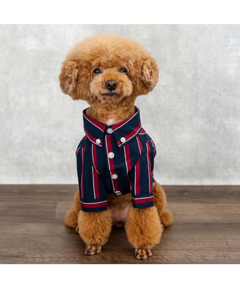PET PARADISE J.PRESS レジメンタル シャツ 小型犬 
