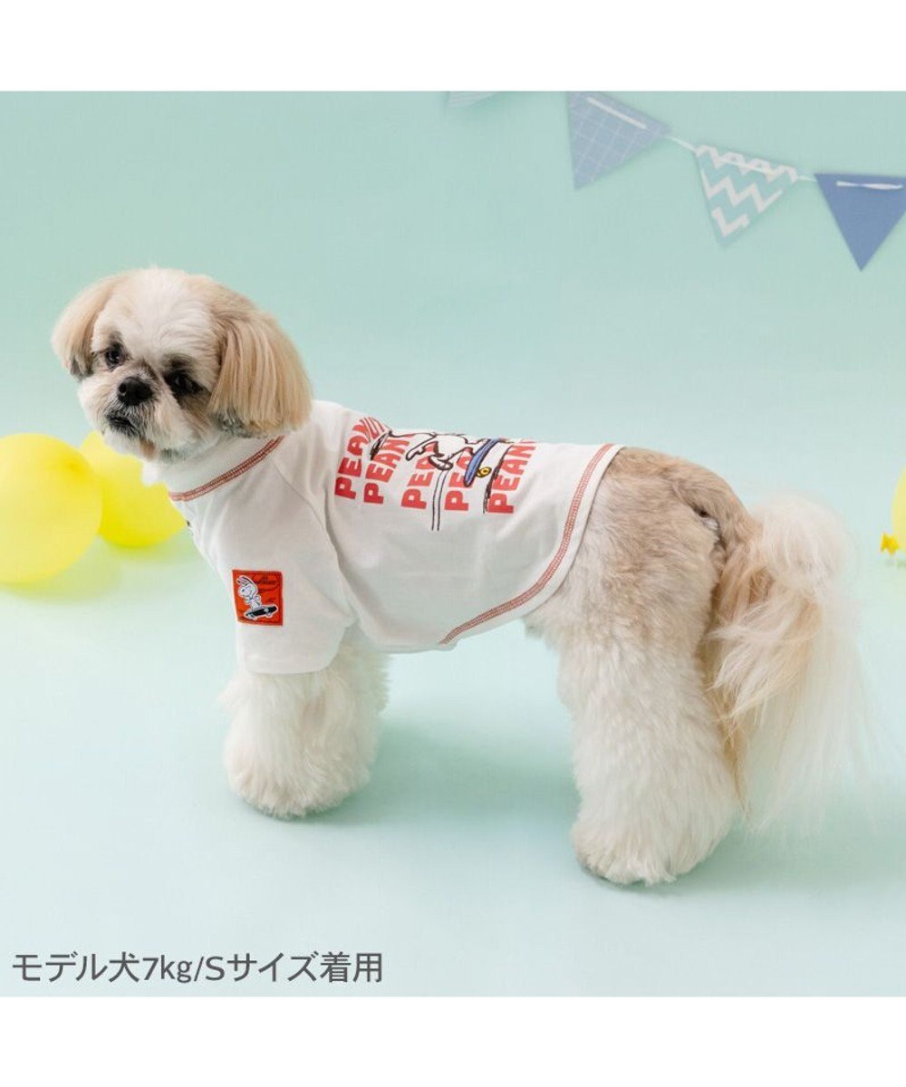 PET PARADISE スヌーピー スケボー Tシャツ 《ホワイト》 小型犬 