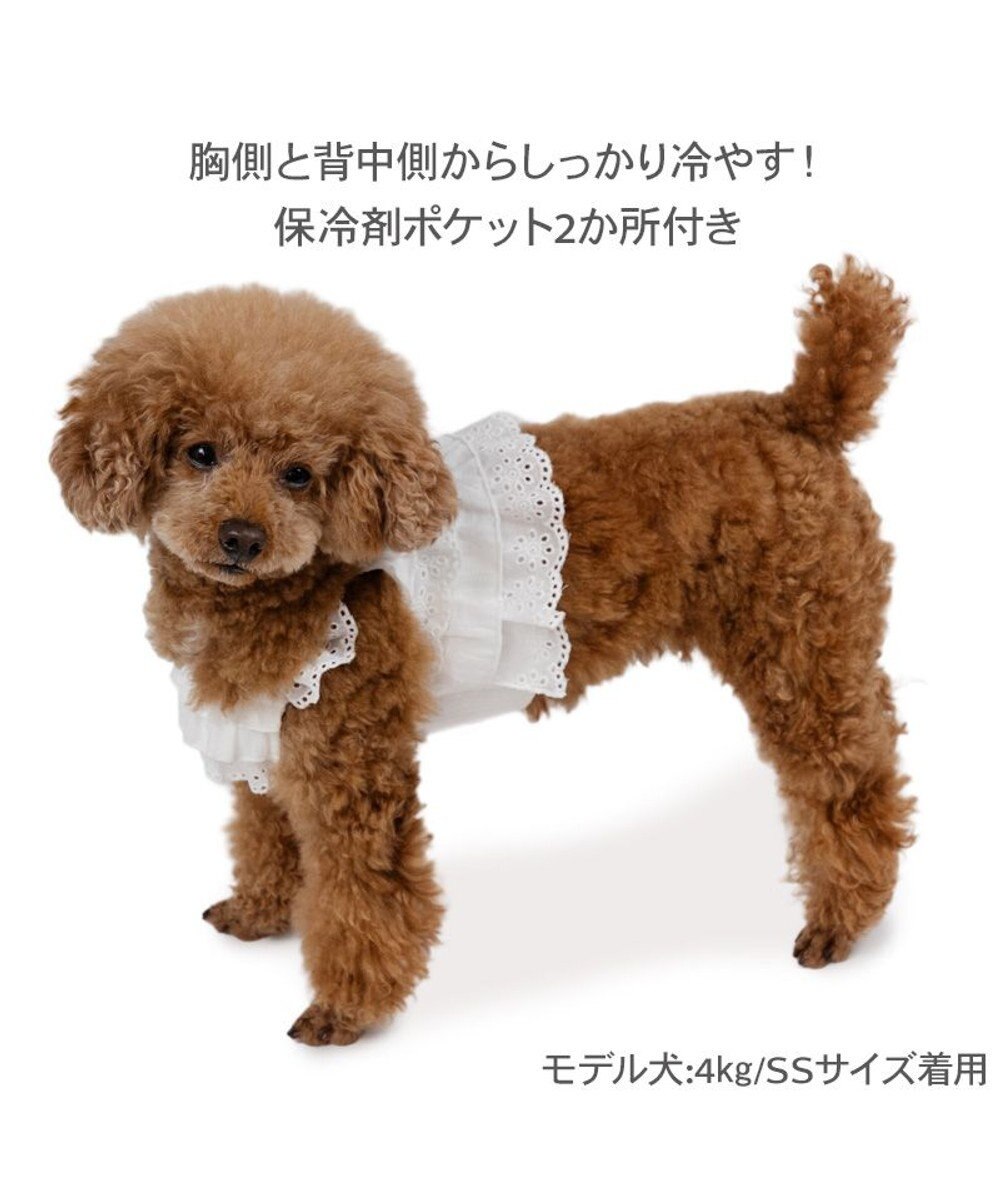 PET PARADISE ペットパラダイス ポケットクール ビスチェ 小型犬 
