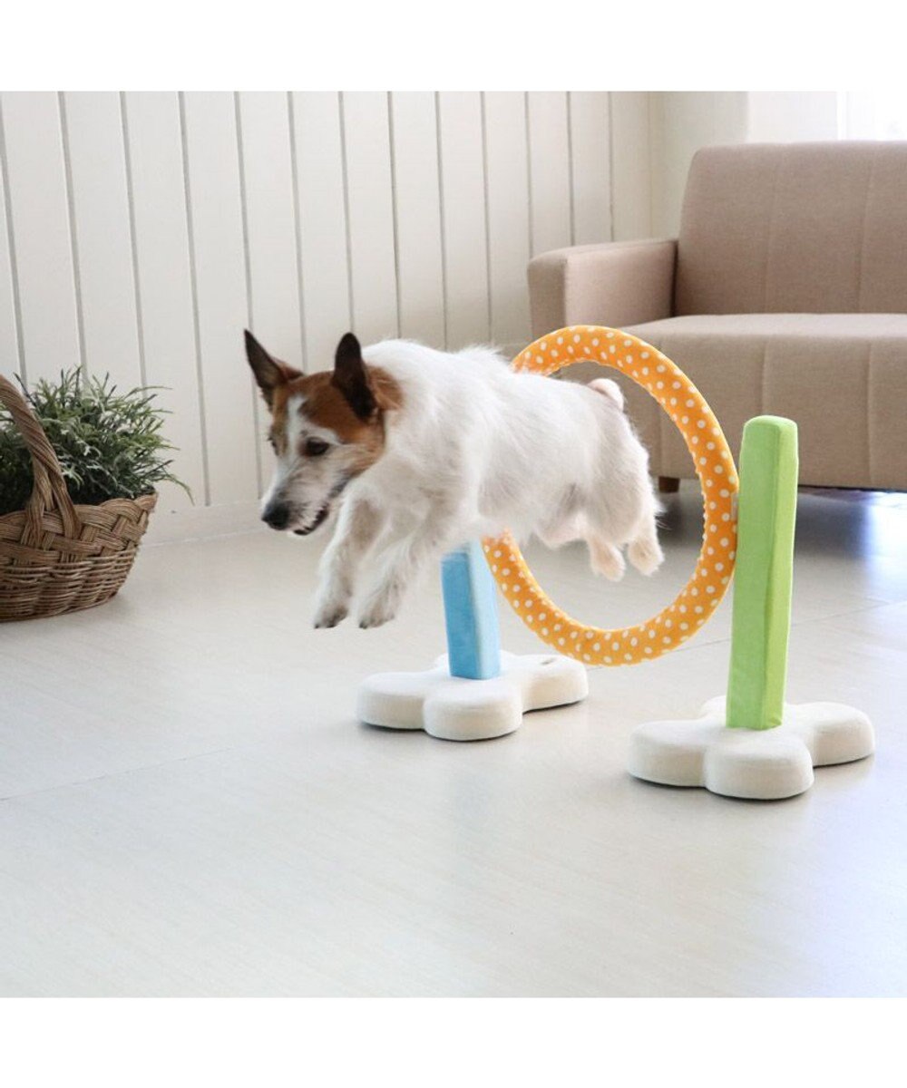 PET PARADISE 犬 トイ TOY ペットパラダイス アジリティ セット 訓練 ドッグアジリティ トレーニング 