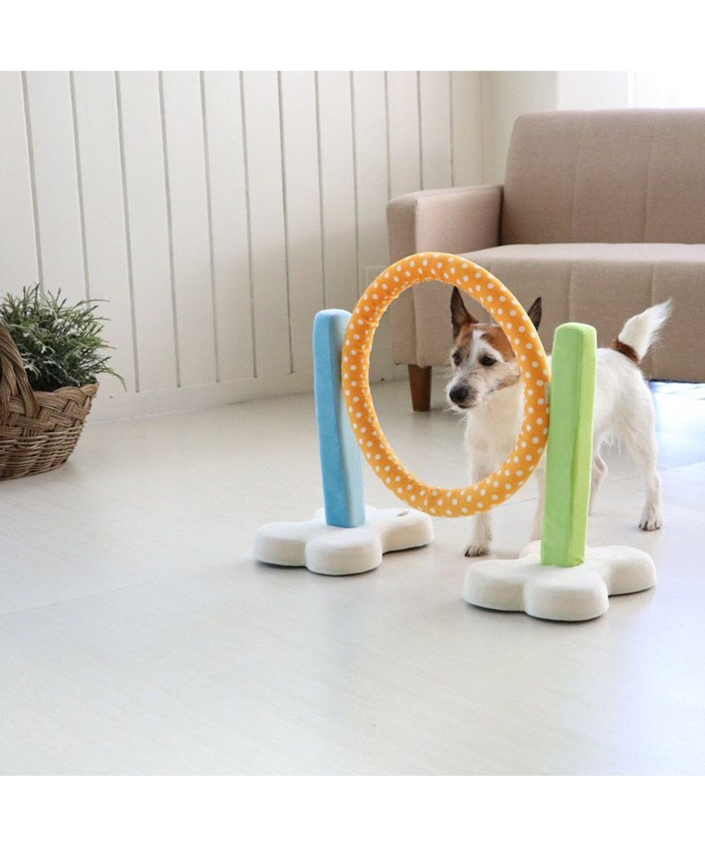 PET PARADISE 犬 トイ TOY ペットパラダイス アジリティ セット 訓練 ドッグアジリティ トレーニング 