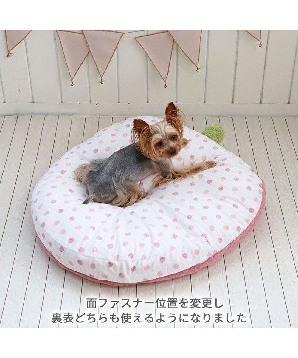 ネット店限定 くすみ苺 クッション (70×71cm) 小型犬, ピンク, -