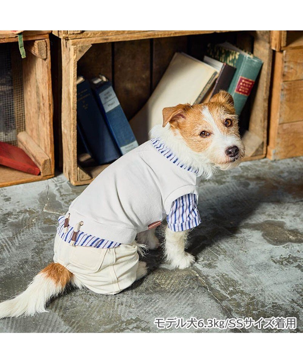 PET PARADISE ペットパラダイス ベスト パンツつなぎ 《ホワイト》 小型犬 