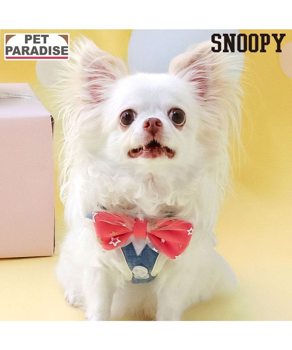 PET PARADISE スヌーピー バースデー ベストハーネス ＳＳ ブルー