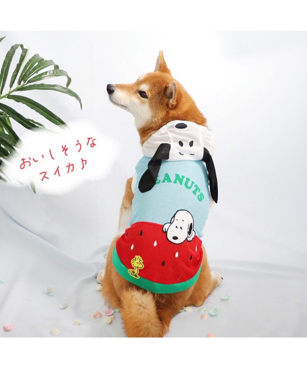 犬の服 春夏 スヌーピー スイカ柄 メッシュ パーカー【中型犬】, 水色, ＳＭ