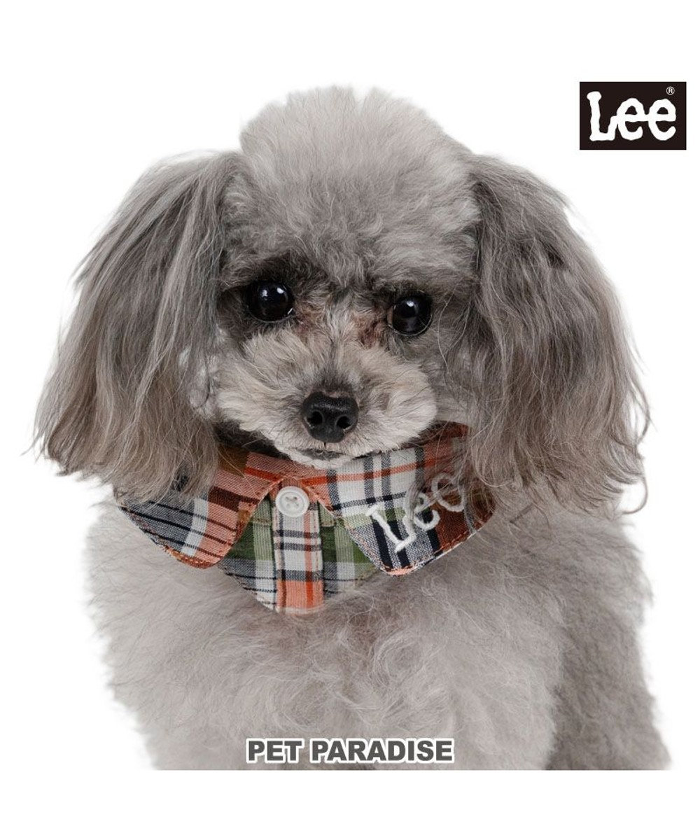 PET PARADISE Lee チェック襟付 首輪 Ｓ 小型犬 マドラスチェック