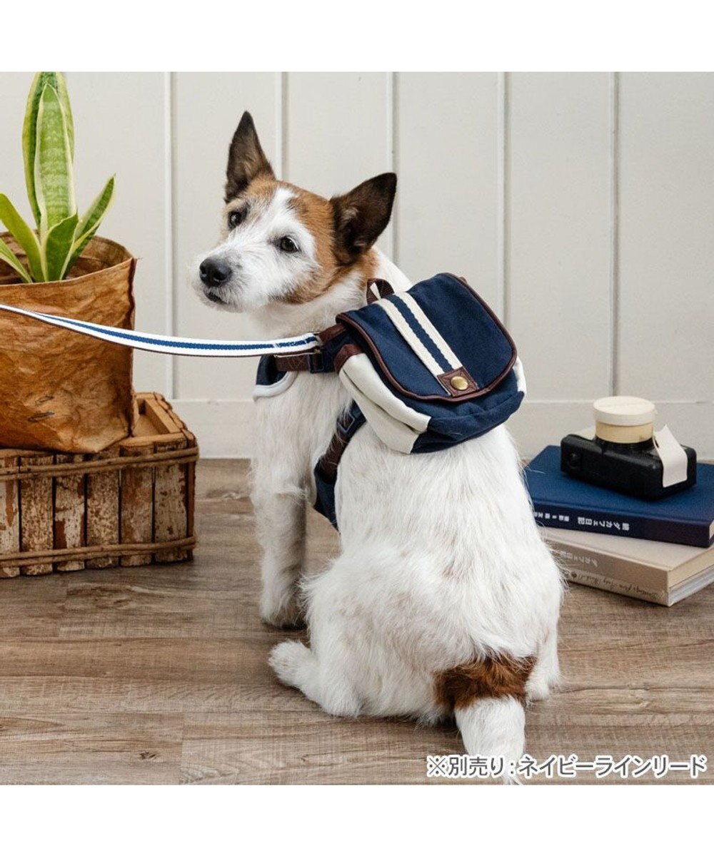 PET PARADISE ペットパラダイス ライン入りリュック付き ハーネス ＳＳ 小型犬 