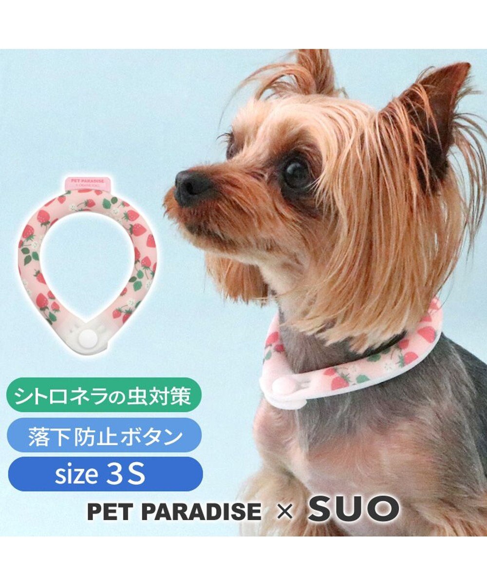 PET PARADISE ペットパラダイス 28℃クールリング SUO 《いちご》 〔3S〕 小型犬