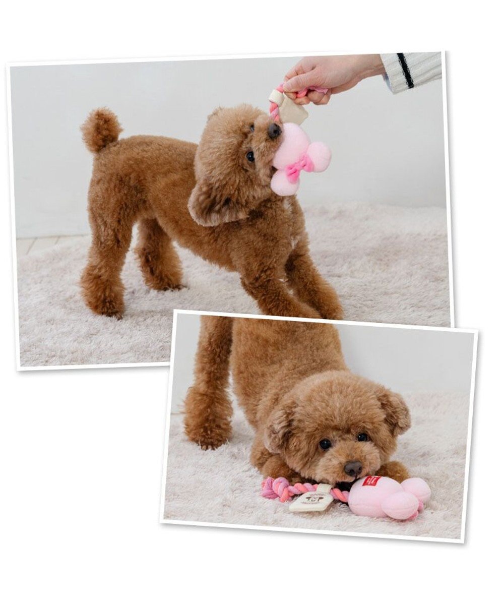 PET PARADISE ディズニー ミニーマウス 風船ロープ トイ 《ピンク》 小型犬 