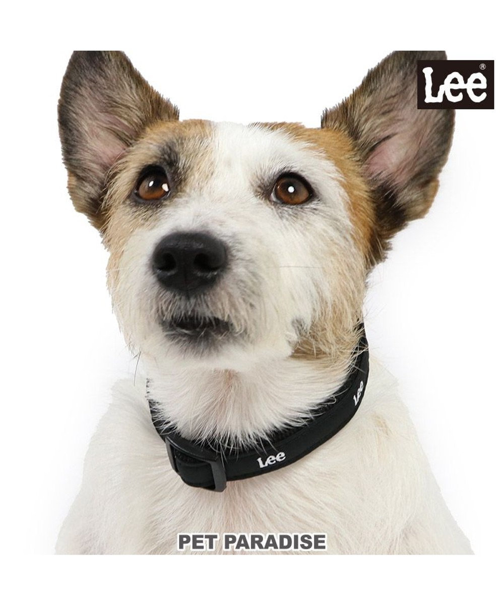 PET PARADISE 犬 首輪 Ｌｅｅ おしゃれ 【ＳＳ】 反射 チャーム付き 黒
