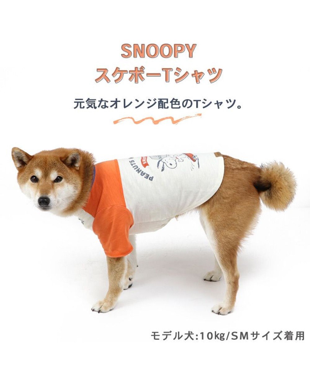 PET PARADISE 犬の服 犬 スヌーピー Ｔシャツ 【中型犬】【大型犬】 スケボー 