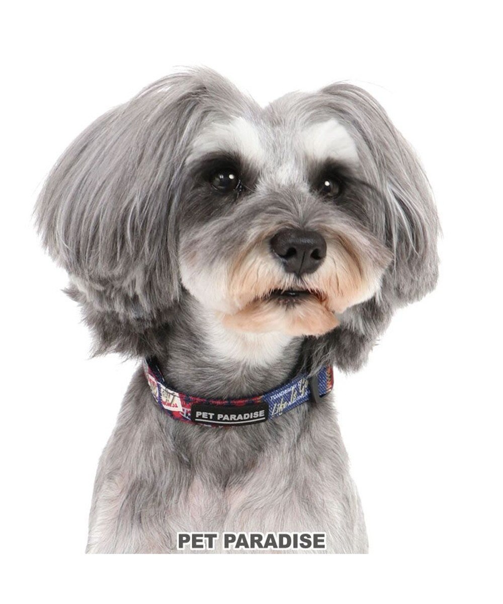 PET PARADISE 犬 首輪 【ＳＳ】 ペットパラダイス ロゴ マルチカラー