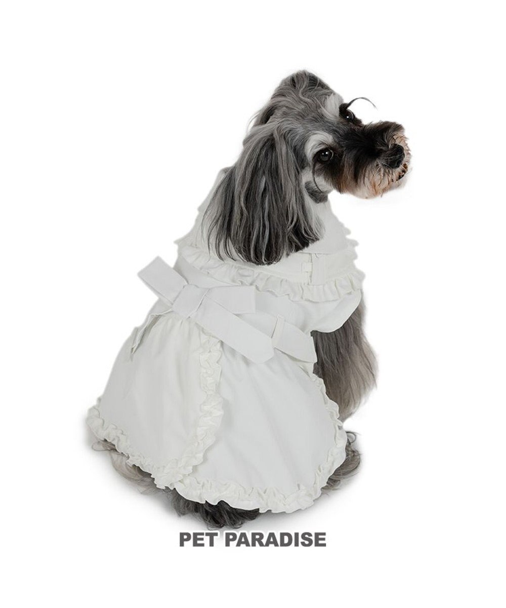 PET PARADISE cherircouture フリフリ トレンチコート 小型犬 オフホワイト