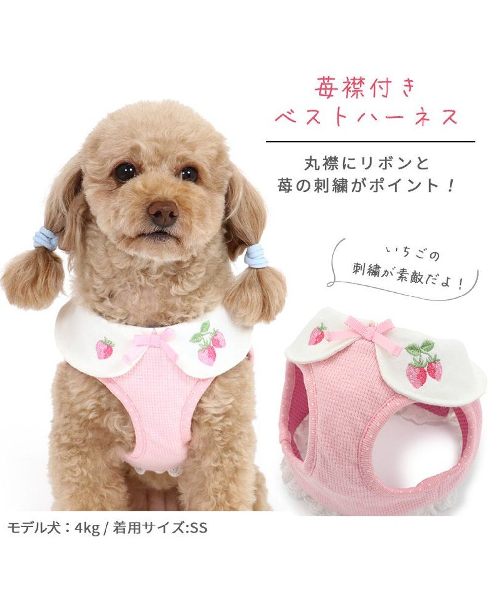 犬 ハーネス ベストハーネス 苺 s 襟付き Pet Paradise 通販 雑貨とペット用品の通販サイト マザーガーデン ペットパラダイス 犬 ハーネス ベストハーネス 苺 s 襟付き Pet Paradise 通販 雑貨とペット用品の通販サイト マザーガーデン ペットパラダイス