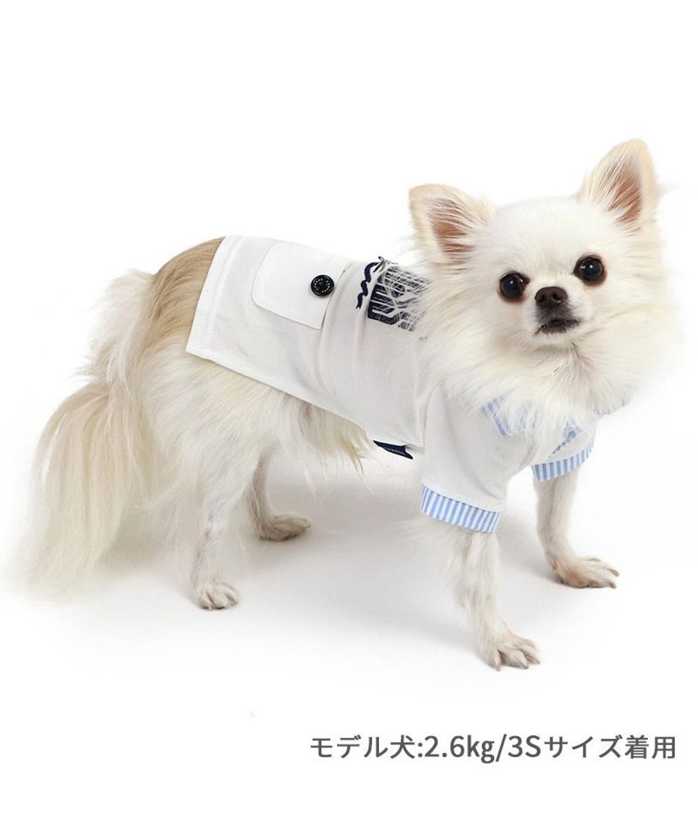 いいネット通販 - 全国送料無料でお届けします J.PRESS スキッパーポロシャツ 【通販 | PARADISE PET / 小型犬 トップス