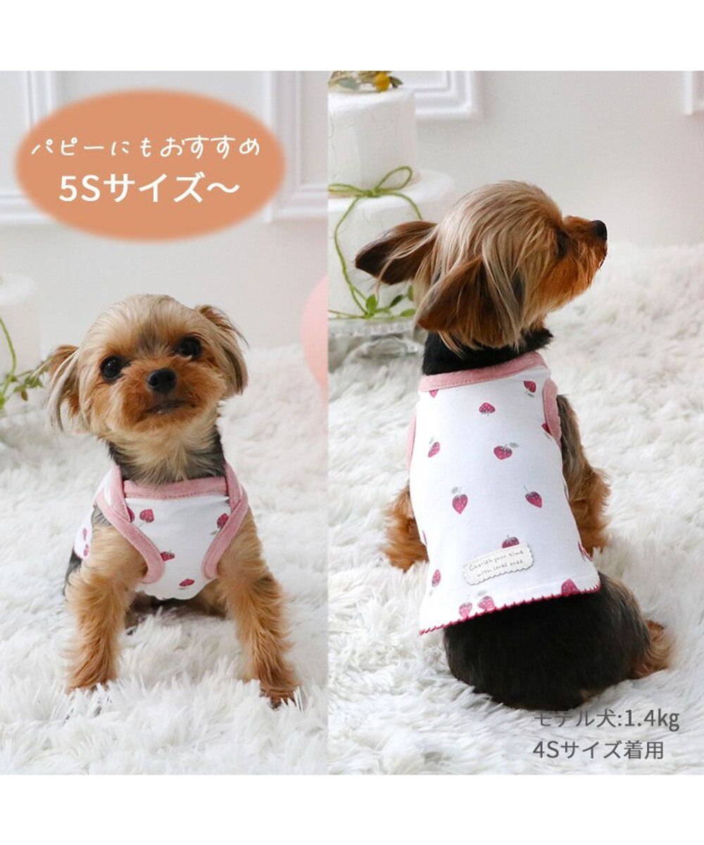 ペットパラダイス ハーネス＆リード スカラップカラー《いちご柄 》 ＳＳ 小型犬, いちご柄, ＳＳ
