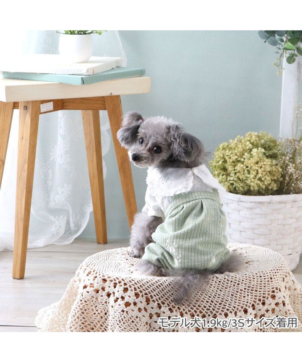 PET PARADISE ペットパラダイス ナチュラル パンツつなぎ 《小花 》 小型犬 