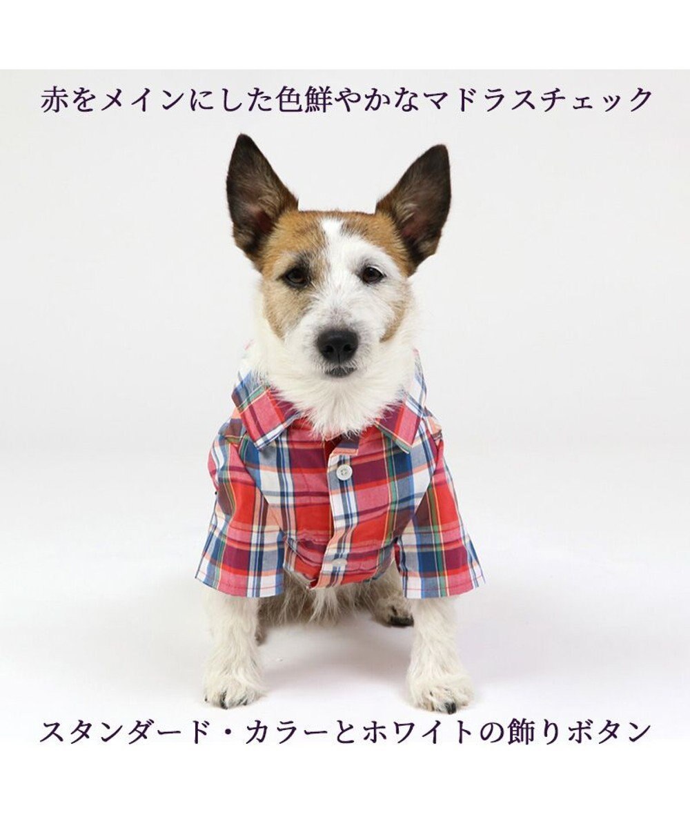 PET PARADISE 犬の服 犬 シャツ J.PRESS 【小型犬】 赤 チェック 