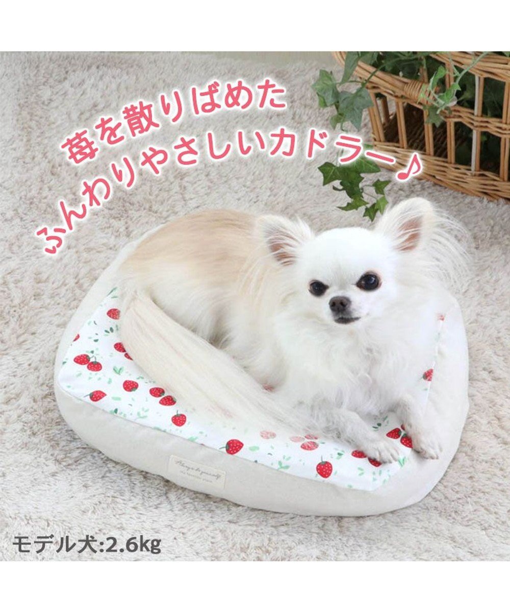 犬 ベッド おしゃれ 38 32cm 苺柄 イチゴ いちご 着脱カバー 犬 猫 ベッド マット 小型犬 介護 おしゃれ かわいい ふわふわ あごのせ Pet Paradise 通販 雑貨とペット用品の通販サイト マザーガーデン ペットパラダイス 犬 ベッド おしゃれ 38 32cm 苺柄 イチゴ いちご 着脱カバー 犬 猫 ベッド マット 小型犬 介護 おしゃれ かわいい ふわふわ あごのせ Pet Paradise 通販 雑貨とペット用品の通販サイト マザーガーデン ペットパラダイス
