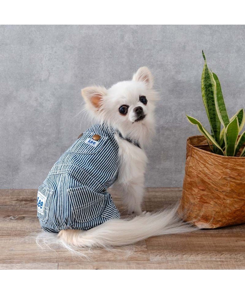PET PARADISE Lee ヒッコリー オーバーオール  小型犬