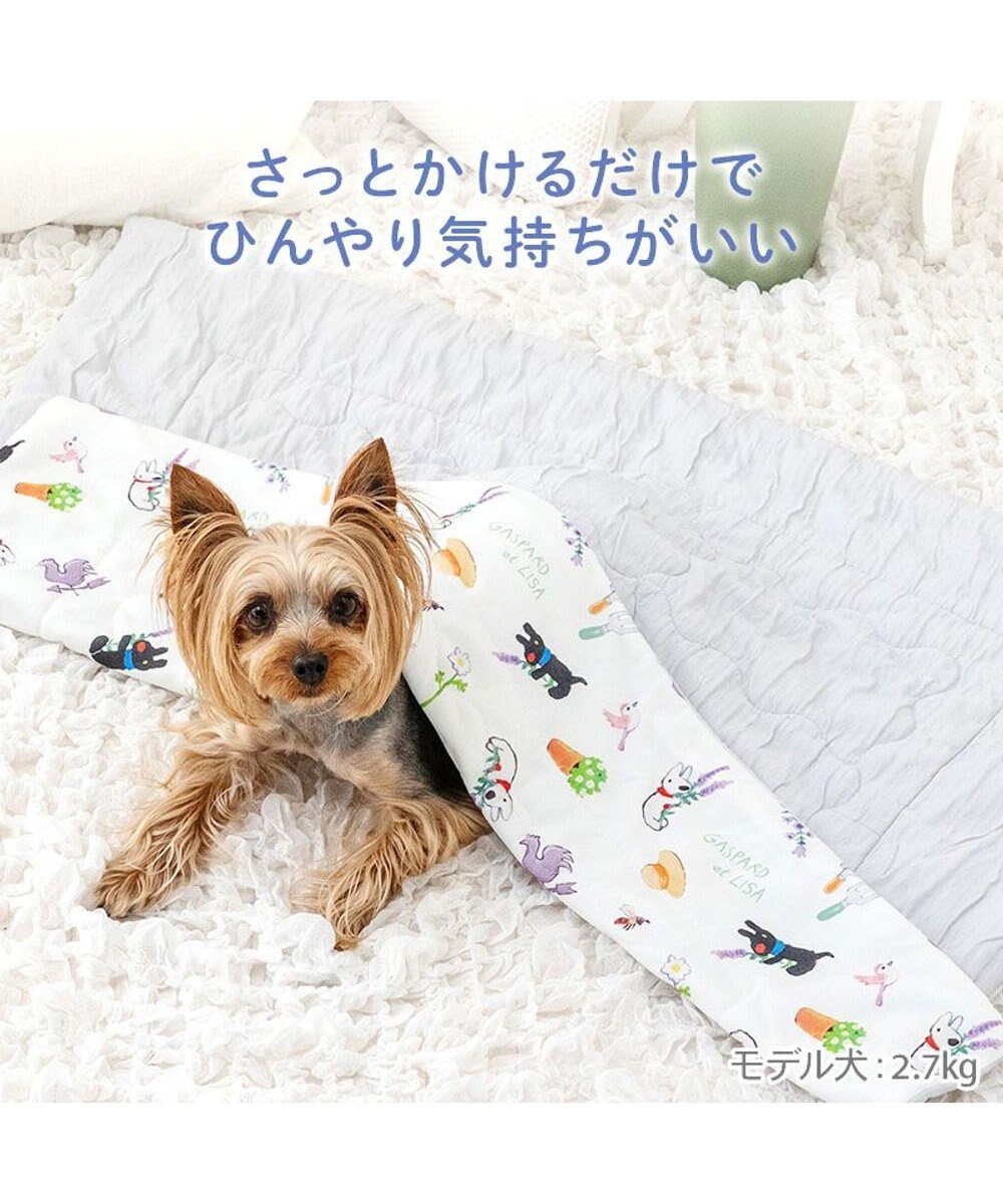 PET PARADISE リサとガスパール もちっと クール ブランケット 