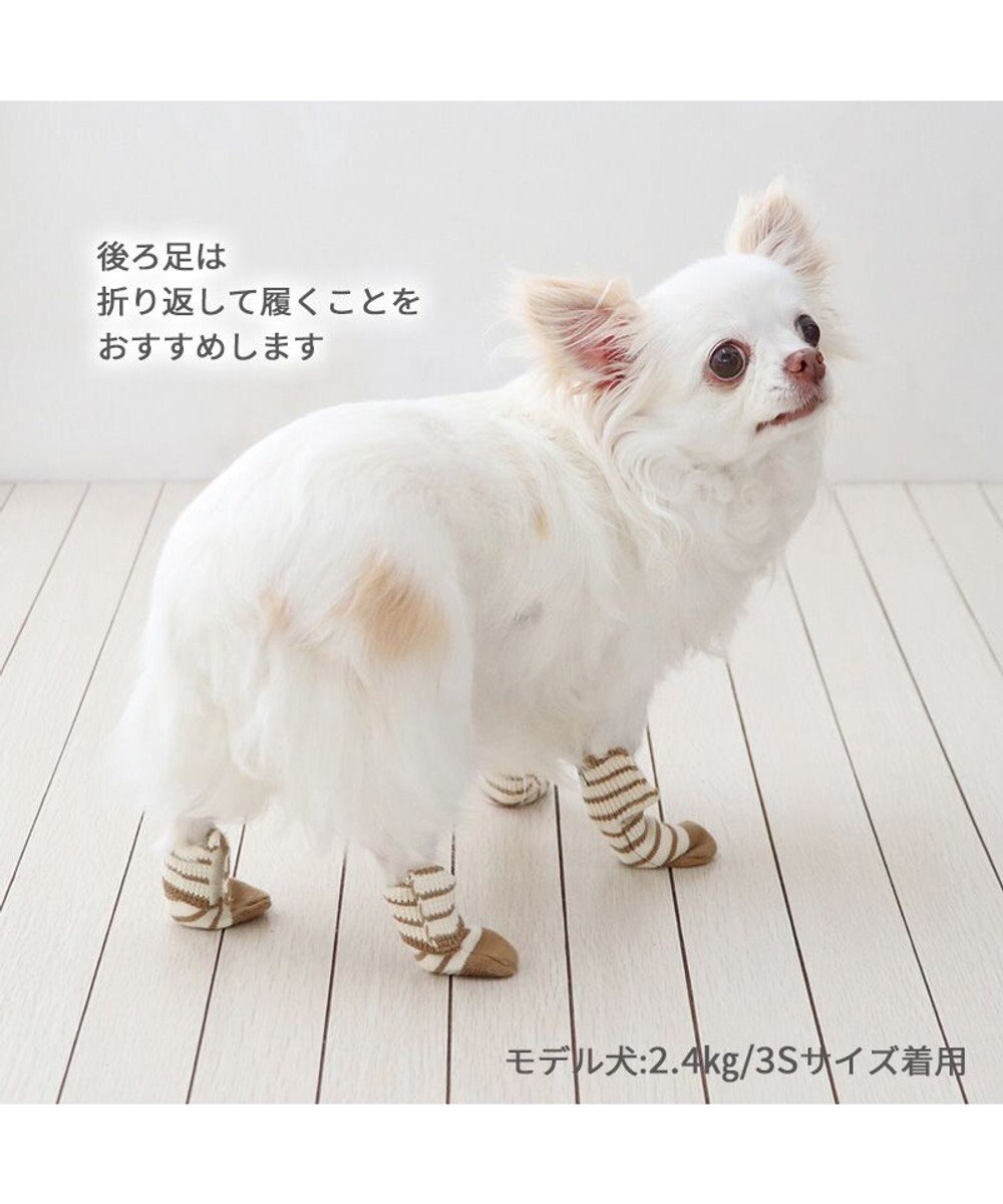PET PARADISE ペットパラダイス makokoro スリット 靴下 《ボーダー》 ３Ｓ 小型犬 