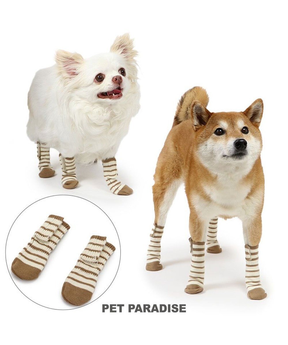PET PARADISE ペットパラダイス makokoro スリット 靴下 《ボーダー》 ３Ｓ 小型犬 