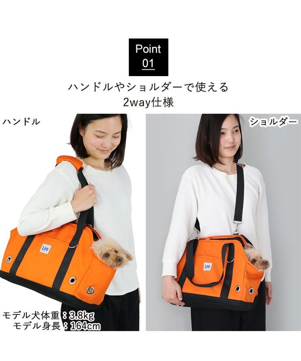 PET PARADISE Ｌｅｅ アウトドアキャリーバッグ  四角 【小型犬】 