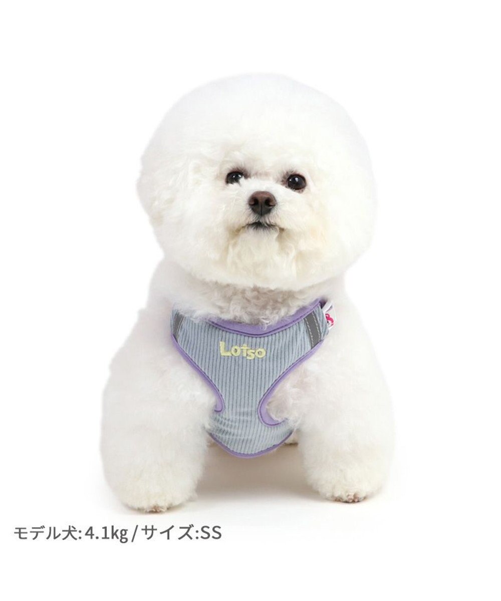 PET PARADISE ディズニー トイ・ストーリー ロッツォ マスコット付き ハーネス SS 小型犬