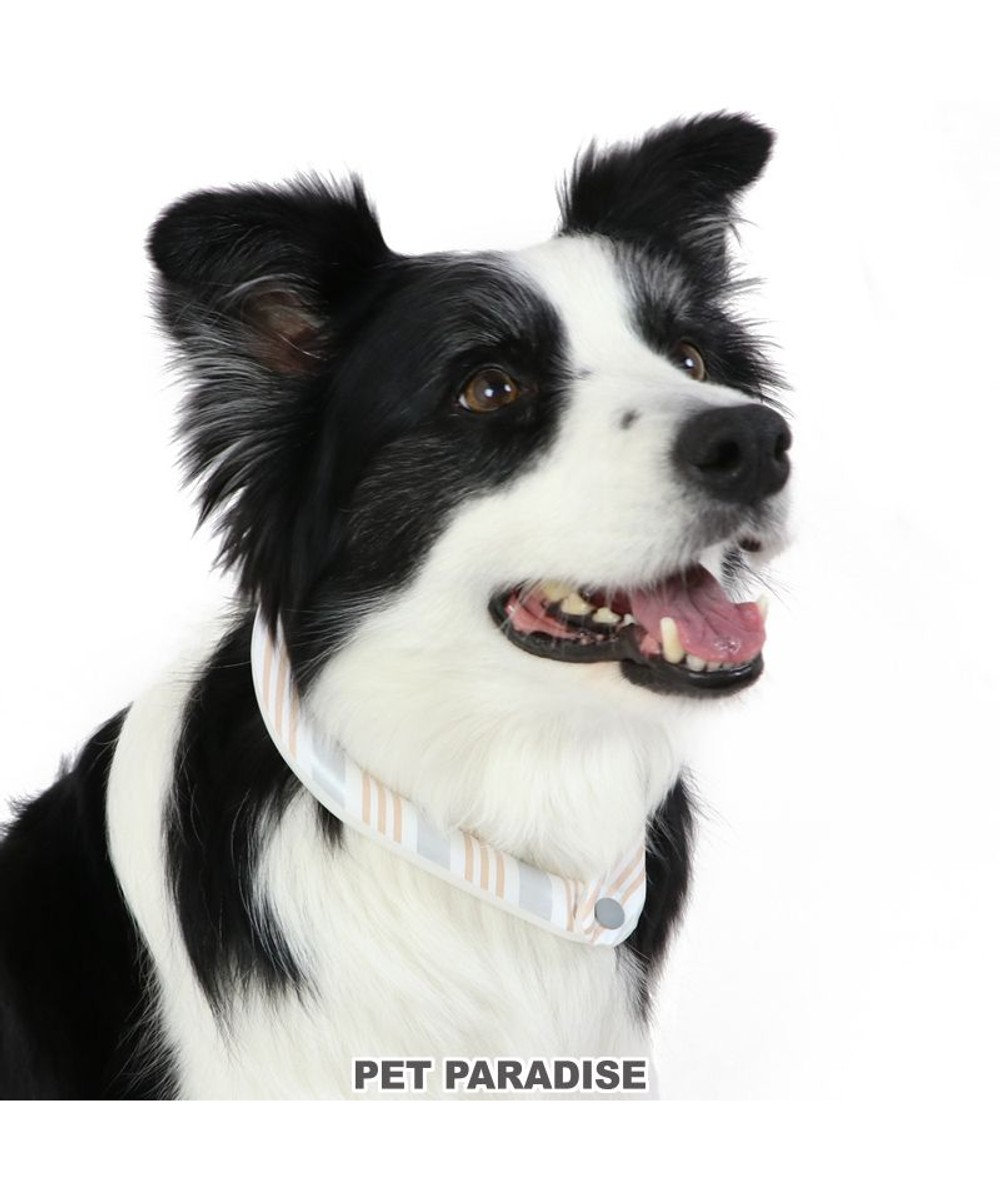PET PARADISE クールリング 犬 クールネック ひんやり 28℃クールリング 【M】 リフレクター 水色 ベージュ 反射材付き