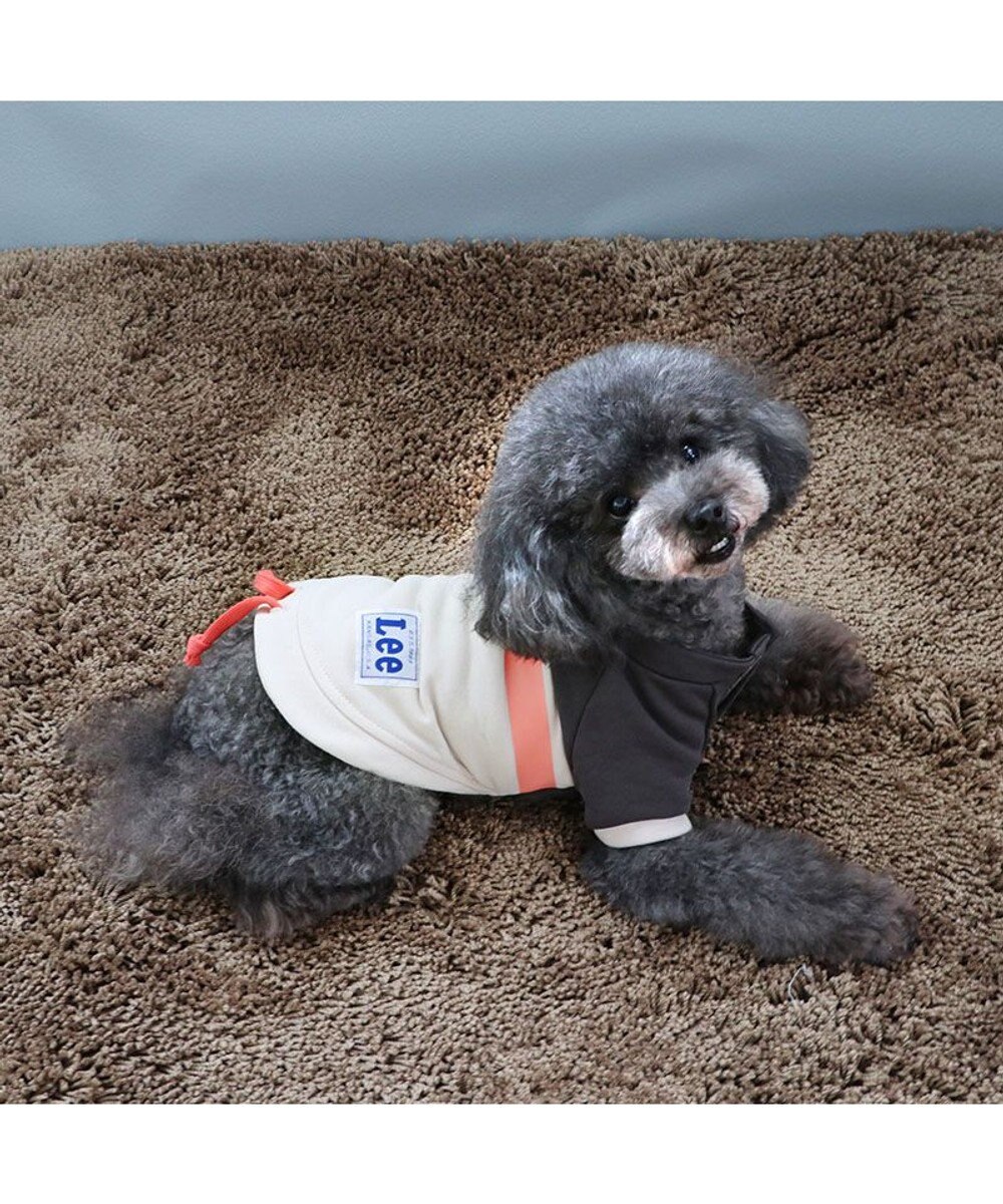 PET PARADISE Ｌｅｅスウェット トレーナー 【小型犬】 グレー 