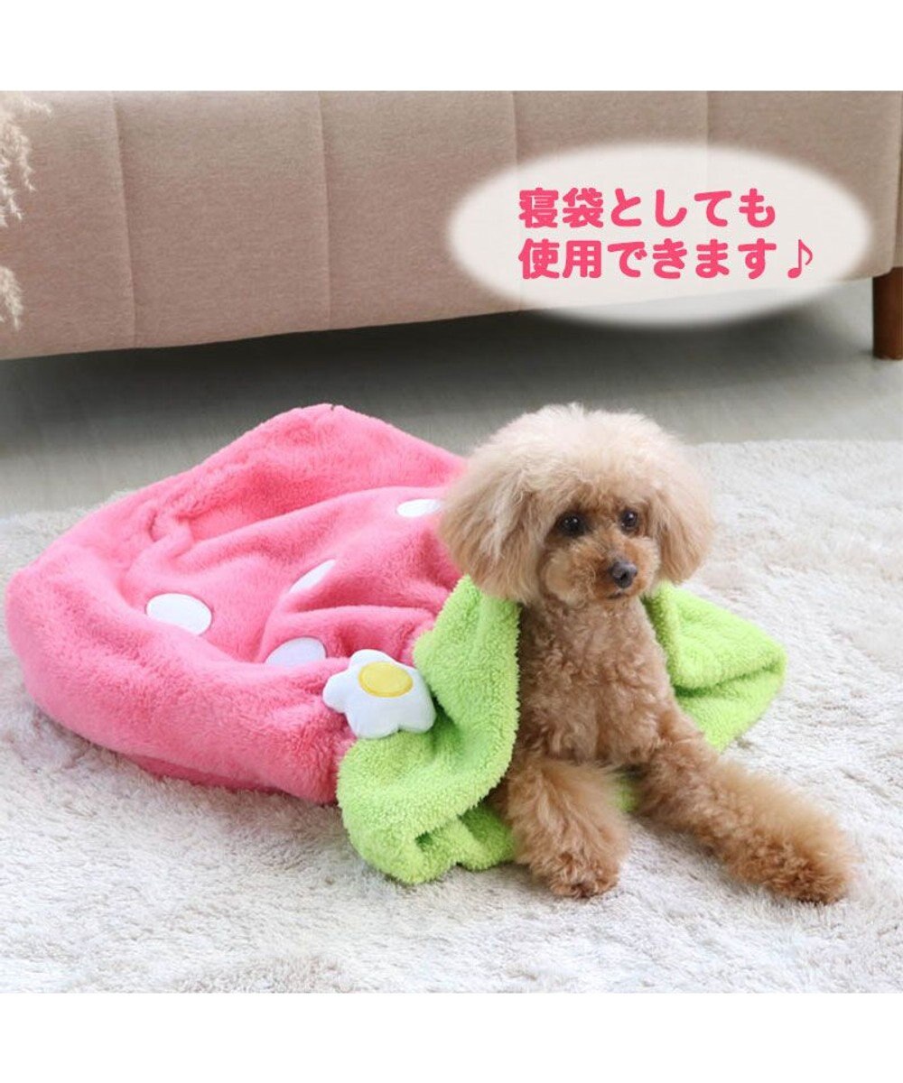犬 ベッド おしゃれ 犬たんぽ 40 25cm いちご 寝袋 もこもこ ふわふわ 犬 猫 ベッド ベット 小型犬 介護 おしゃれ かわいい クッション ネット限定 Pet Paradise 通販 雑貨とペット用品の通販サイト マザーガーデン ペットパラダイス 犬 ベッド おしゃれ 犬たんぽ 40 25cm いちご 寝袋 もこもこ ふわふわ 犬 猫 ベッド ベット 小型犬 介護 おしゃれ かわいい クッション ネット限定 Pet Paradise 通販 雑貨とペット用品の通販サイト マザーガーデン ペットパラダイス