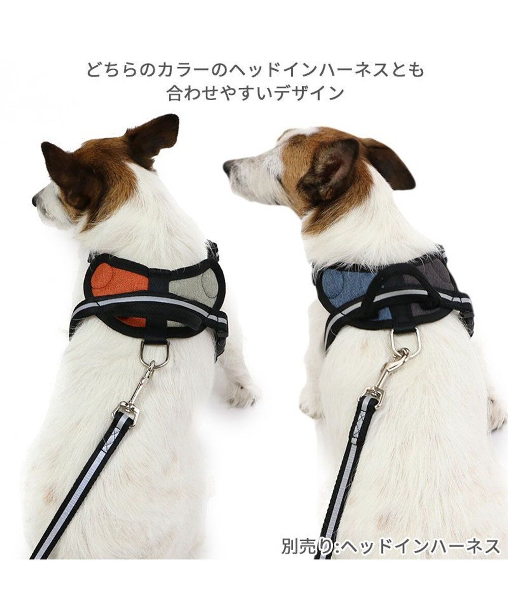 PET PARADISE 両面反射リード ブラック 120cm【ＳＳ~Ｓ】 