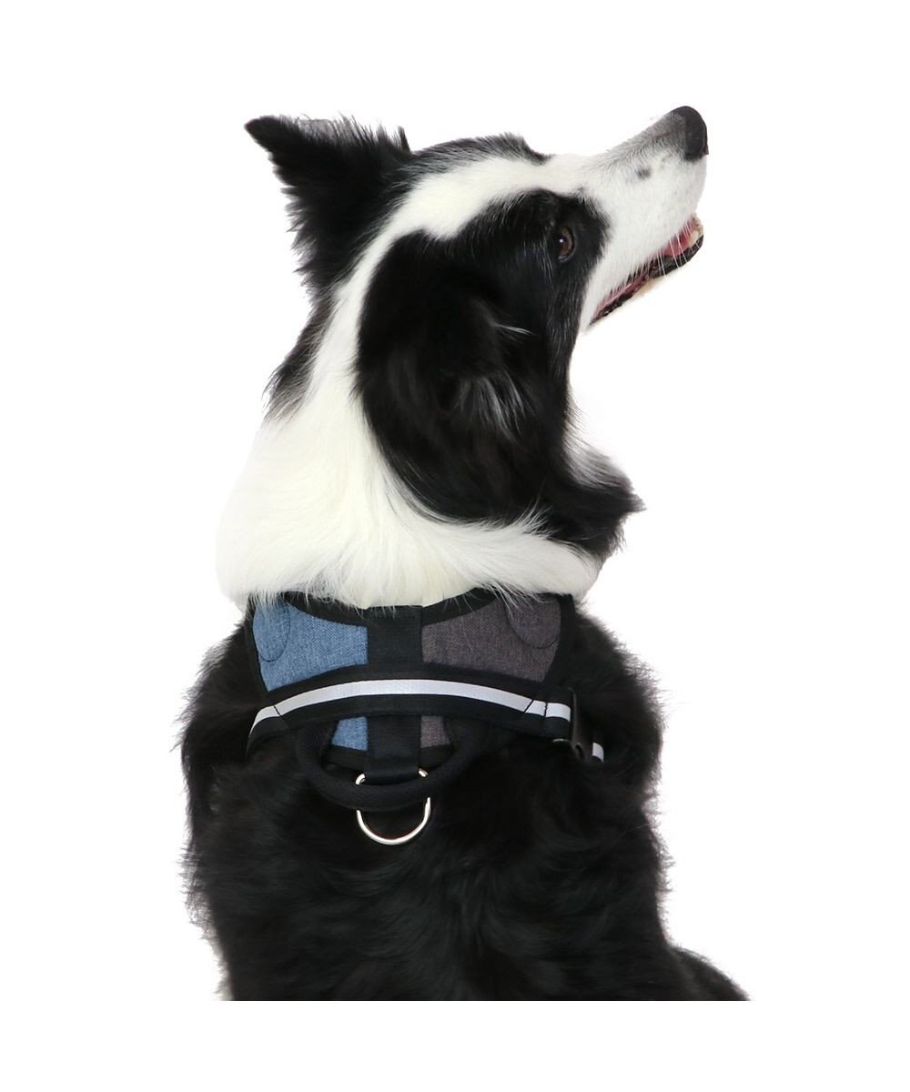 PET PARADISE ヘッドインハーネス 【Ｌ】 オレンジ / ブルー  【大型犬】 