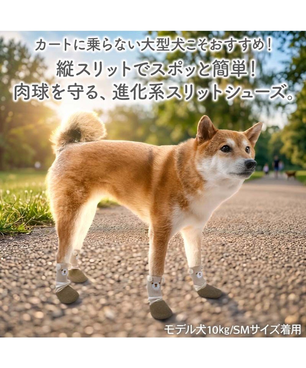 PET PARADISE ペットパラダイス くまちゃん スリットシューズ Ｍ 