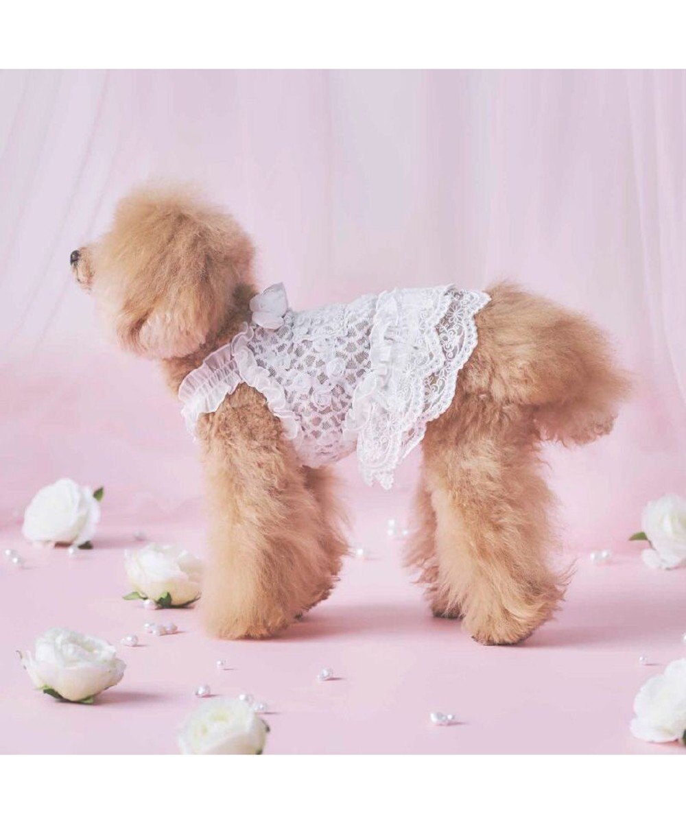 PET PARADISE cherircouture 総レース キャミソール 小型犬 