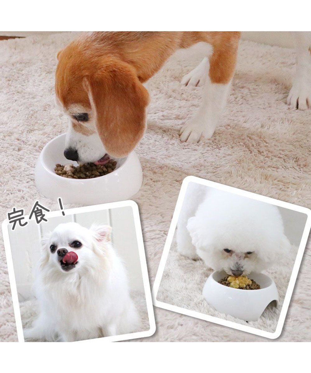 PET PARADISE リアルフード パウチスープ バラエティパック 《砂肝&パンプキン/ レバー&キャロット/ チキン&ブロッコリー》 国産