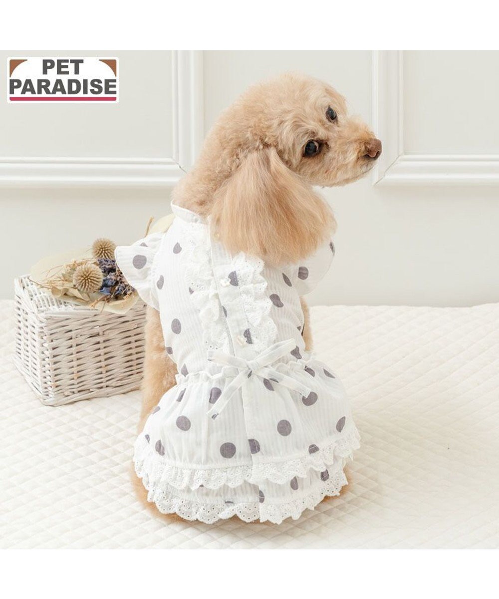 PET PARADISE ペットパラダイス 背中開き フリル ワンピース 《ドット柄》 小型犬 