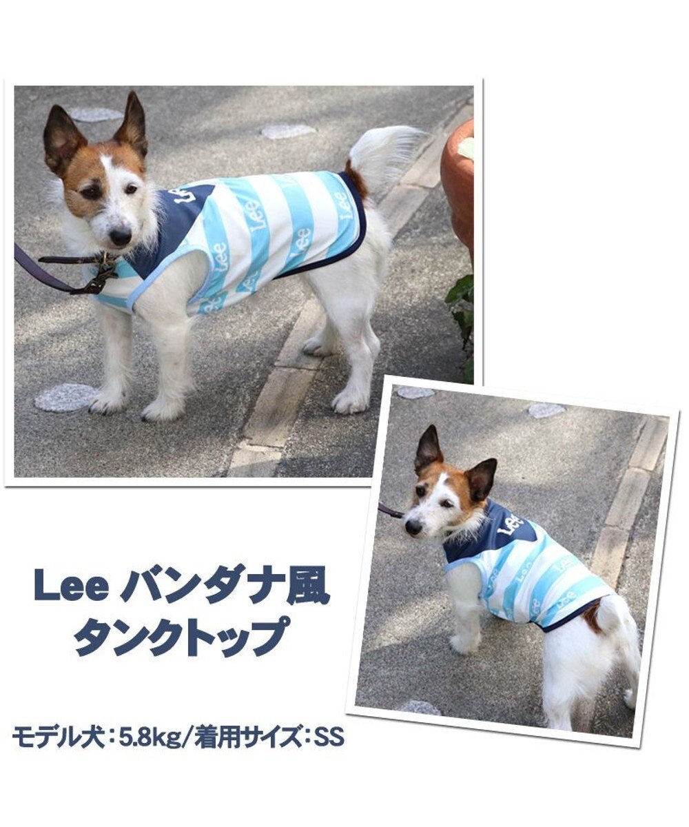 犬 夏服 ひんやり クール ペットパラダイス Ｌｅｅ クール 接触冷感 虫よけ バンダナプリント タンクトップ 〔小型犬〕 超小型犬 小型犬 メッシュ  ひんやり 夏 涼感 冷却 吸水速乾 クールマックス, 紺（ネイビー・インディゴ）, ３Ｓ