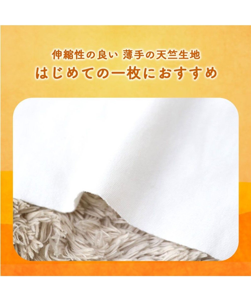 PET PARADISE ペットパラダイス ペティヒート 天竺 Tシャツ 《ニット柄》  中型犬 大型犬 