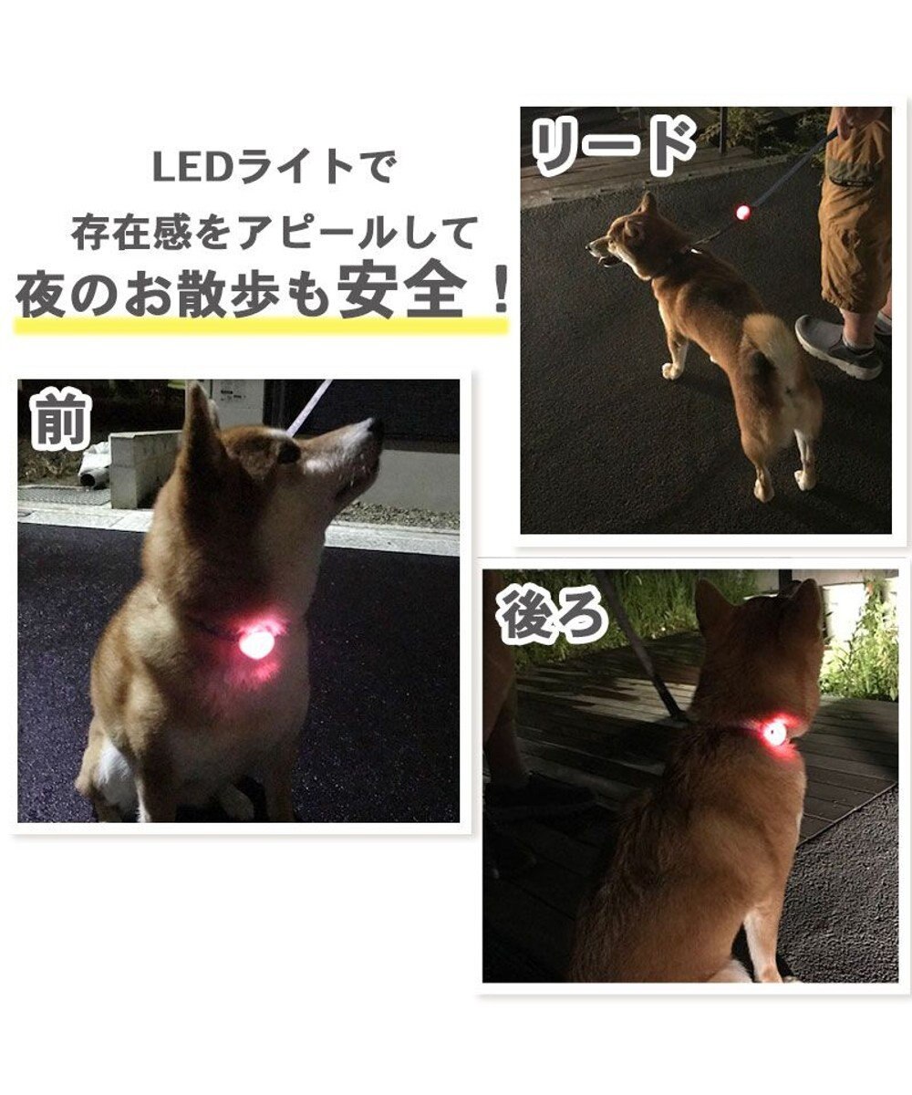 犬 散歩 夜 光る 苺柄 LED お散歩ライト / PET PARADISE 犬 散歩 夜 光る 苺柄 LED お散歩ライト / PET PARADISE