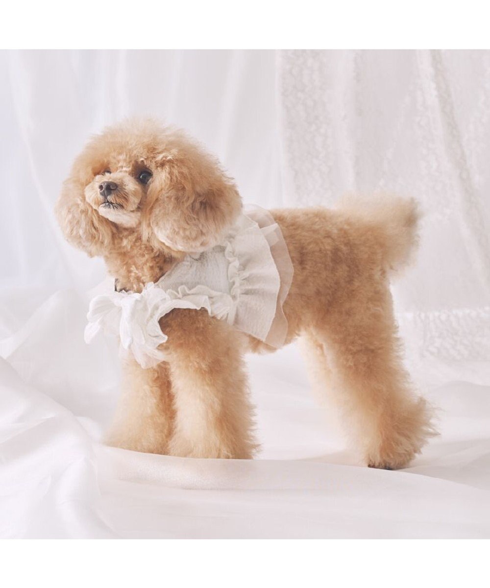 PET PARADISE cherircouture フリフリハーネス 《ホワイト》 小型犬 ＳＳ 