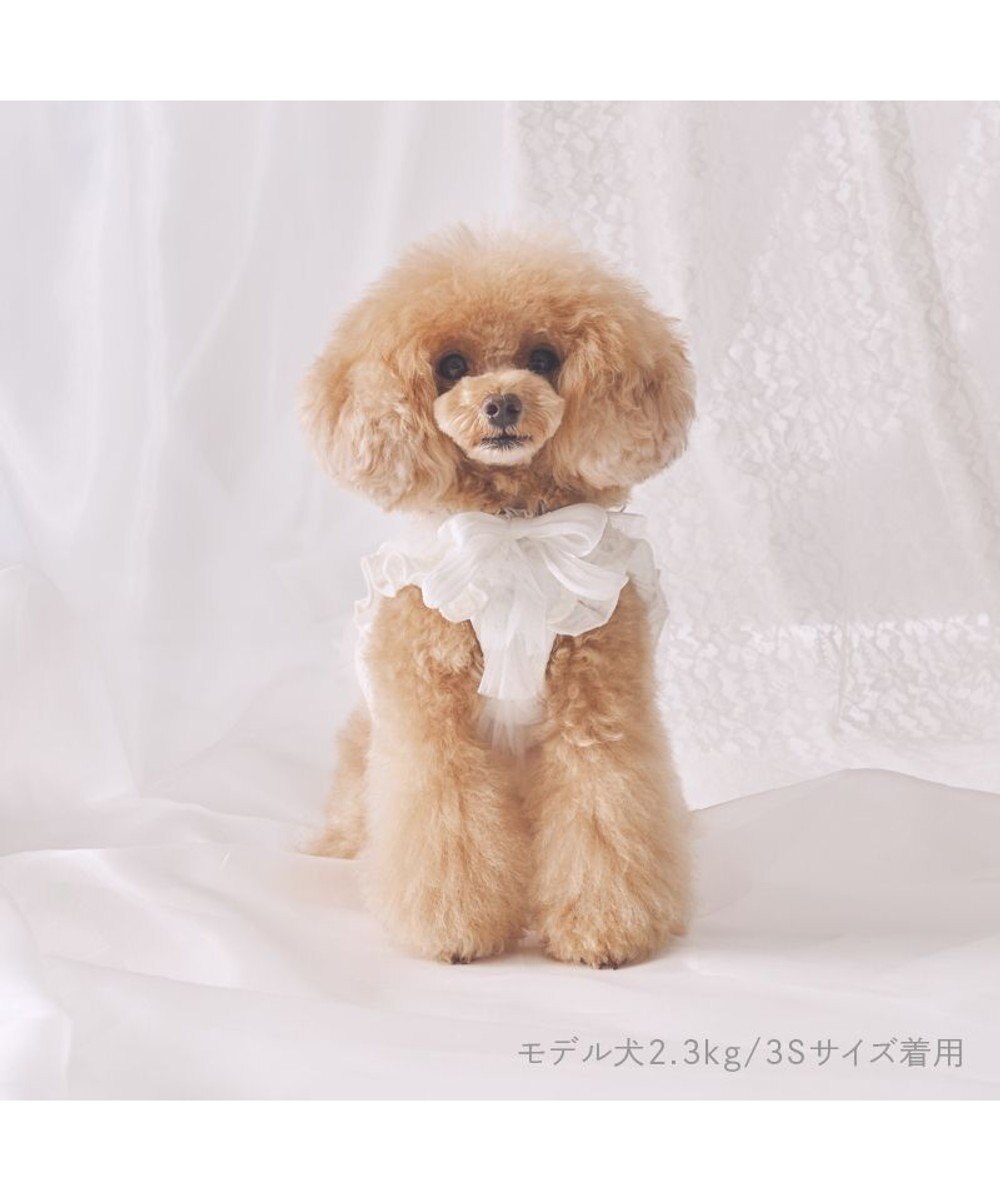 犬 cherircouture フリフリハーネス 《ホワイト》 小型犬 SS